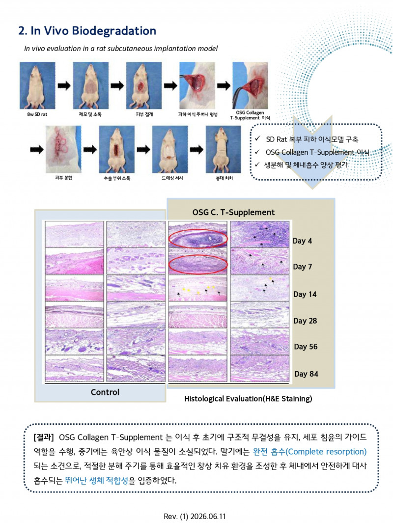OSG Collagen T-Supplement_ver.03-최종_page-0004.jpg